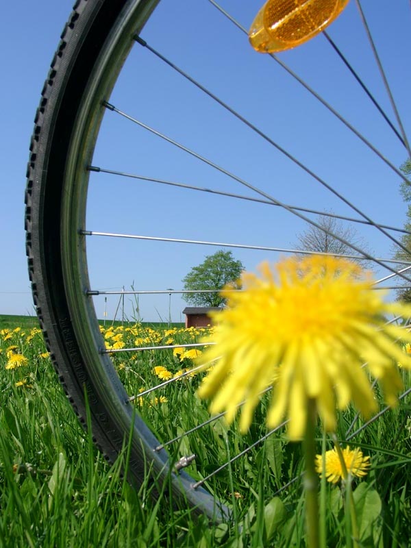 Radtouren Radreisen in Mecklenburg - radeln mit radreisen-mecklenburg